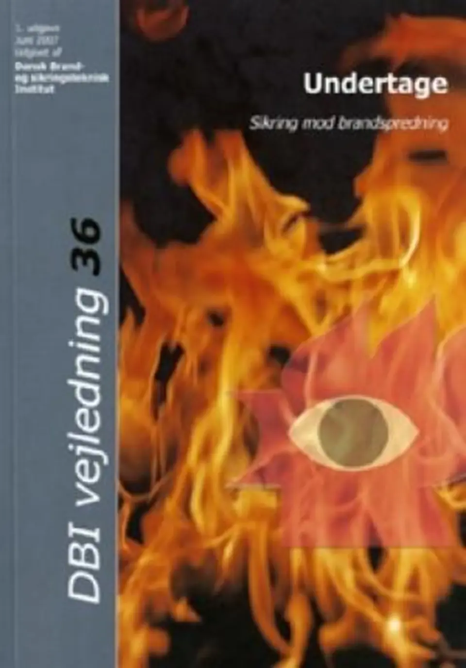 Undertage - sikring mod brandspredning e-bog