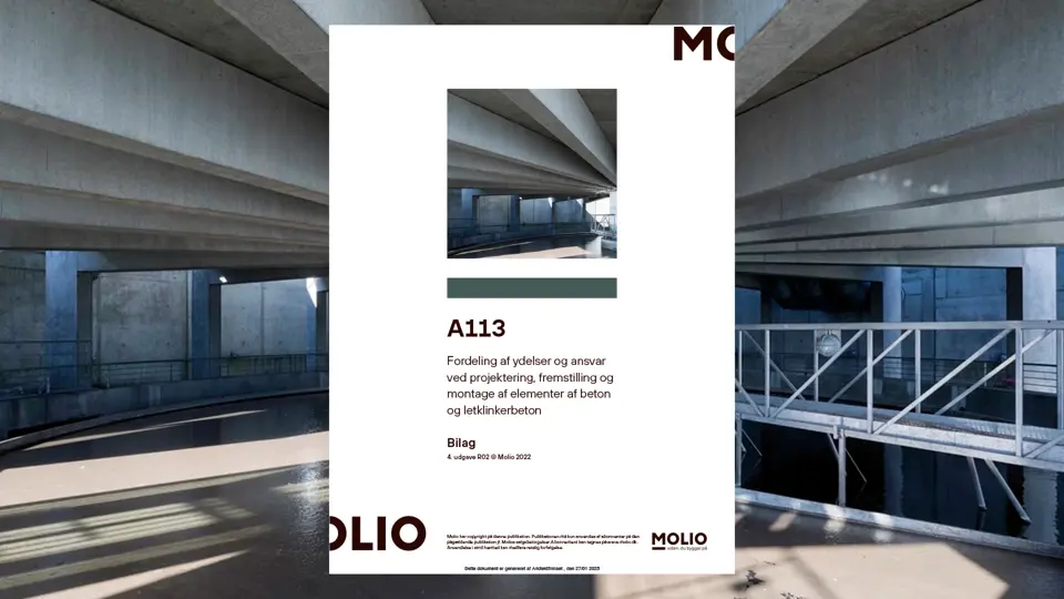 A113 Publikationsbillede