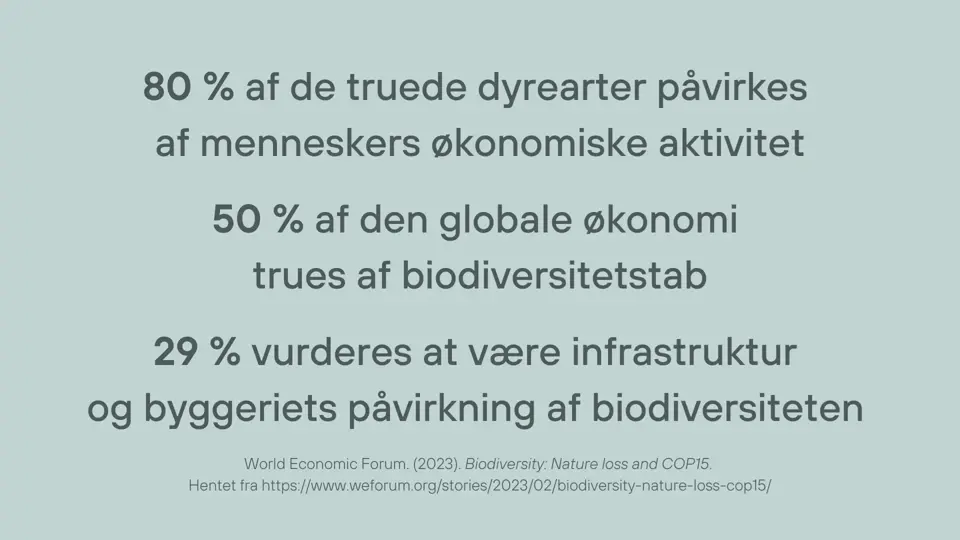 Biodiversitet Fakta WEF