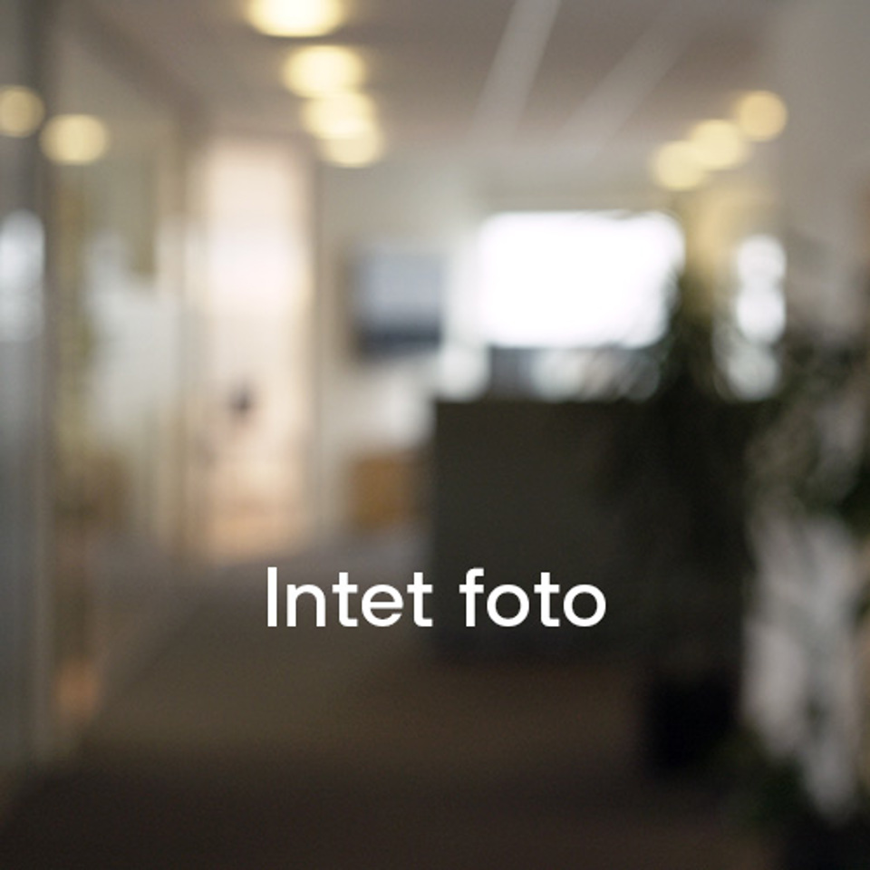 Molio-medarbejdere-No Foto