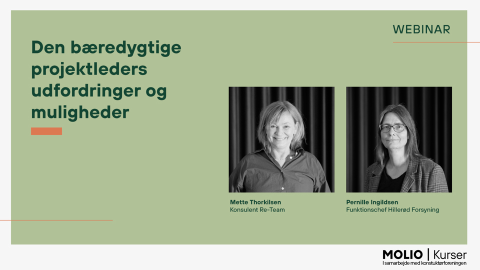 Den Bæredygtige Projektleders