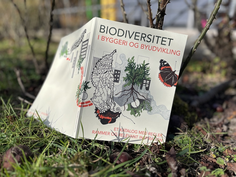 Biodiversitet I Byggeri Og Byudvikling