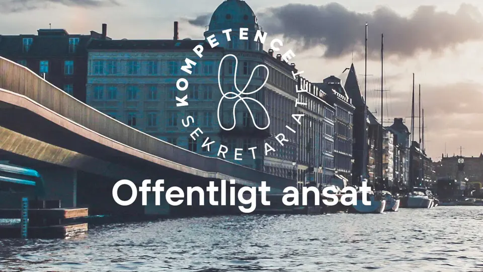 Den Statslige Kompetencefond