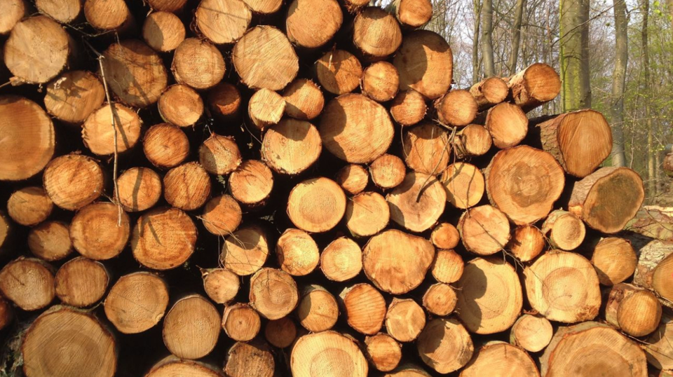 Skærmbillede 2026 03 20 091820