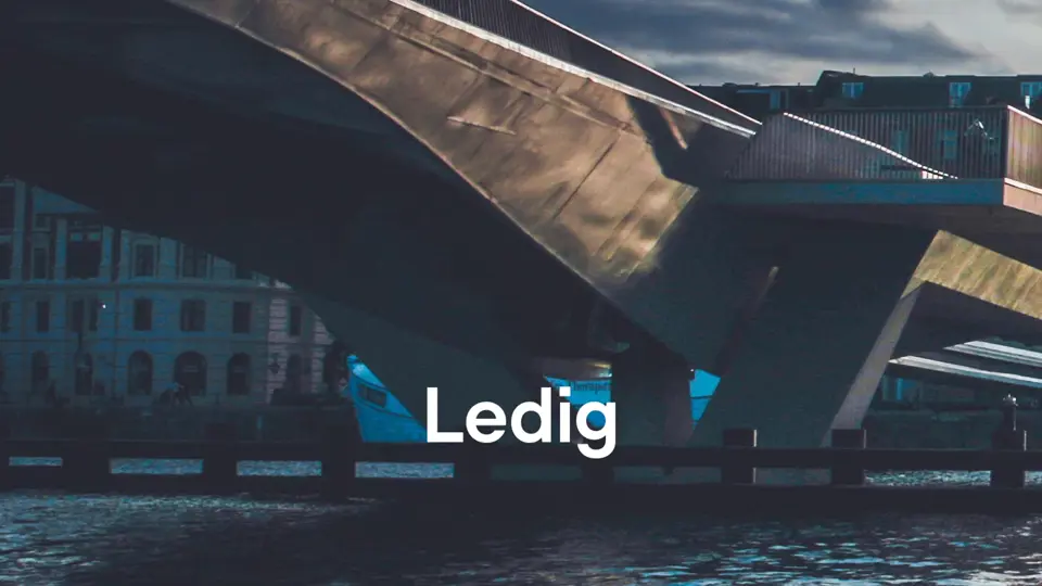 Ledig