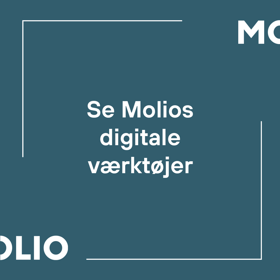 Se Digitale Værktøjer