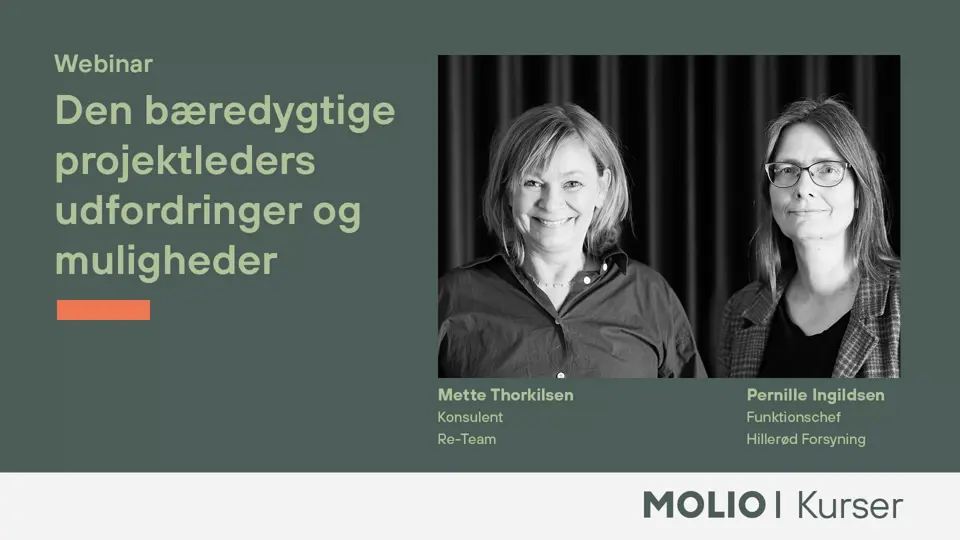 Den Bæredygtige Projektleder