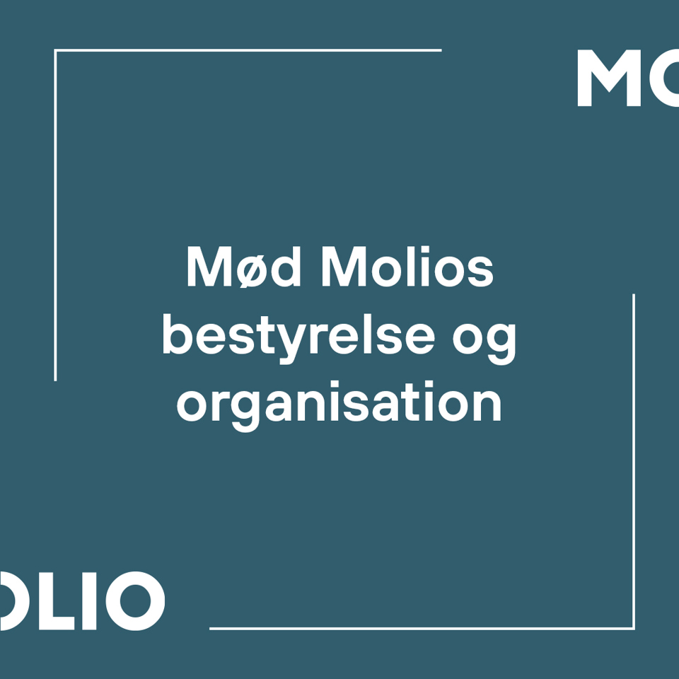 Mød Molios Bestyrelse Og Organisation 1080X1080px