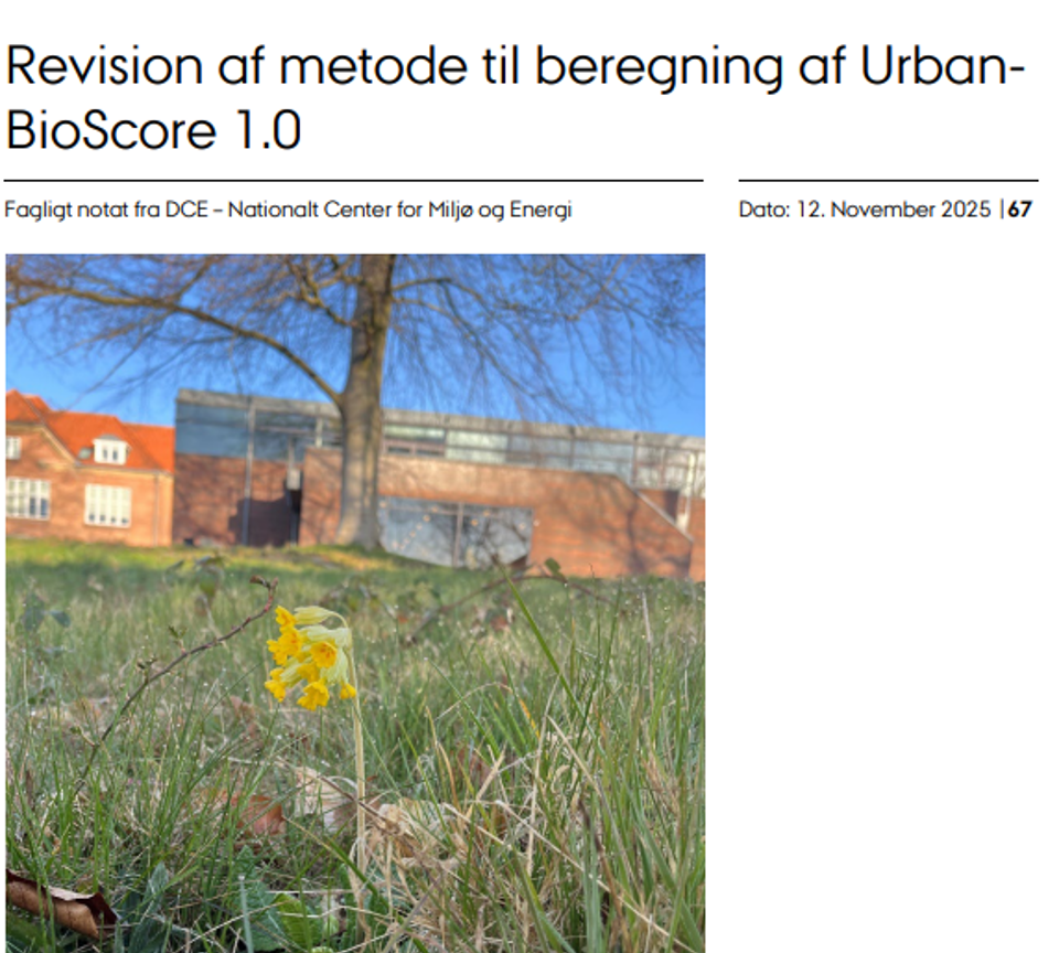 Revidere UBS November 2025 Screenshot