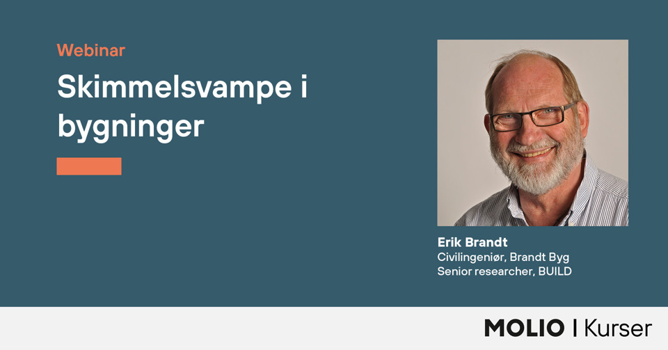 Webinar 1920X1006 Skimmelsvampe I Bygninger (1)