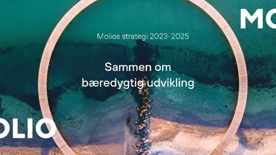 Sammenombæredygtigudvikling Strategi Uendelighedsbroen