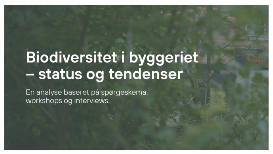 Udgivelser (5)