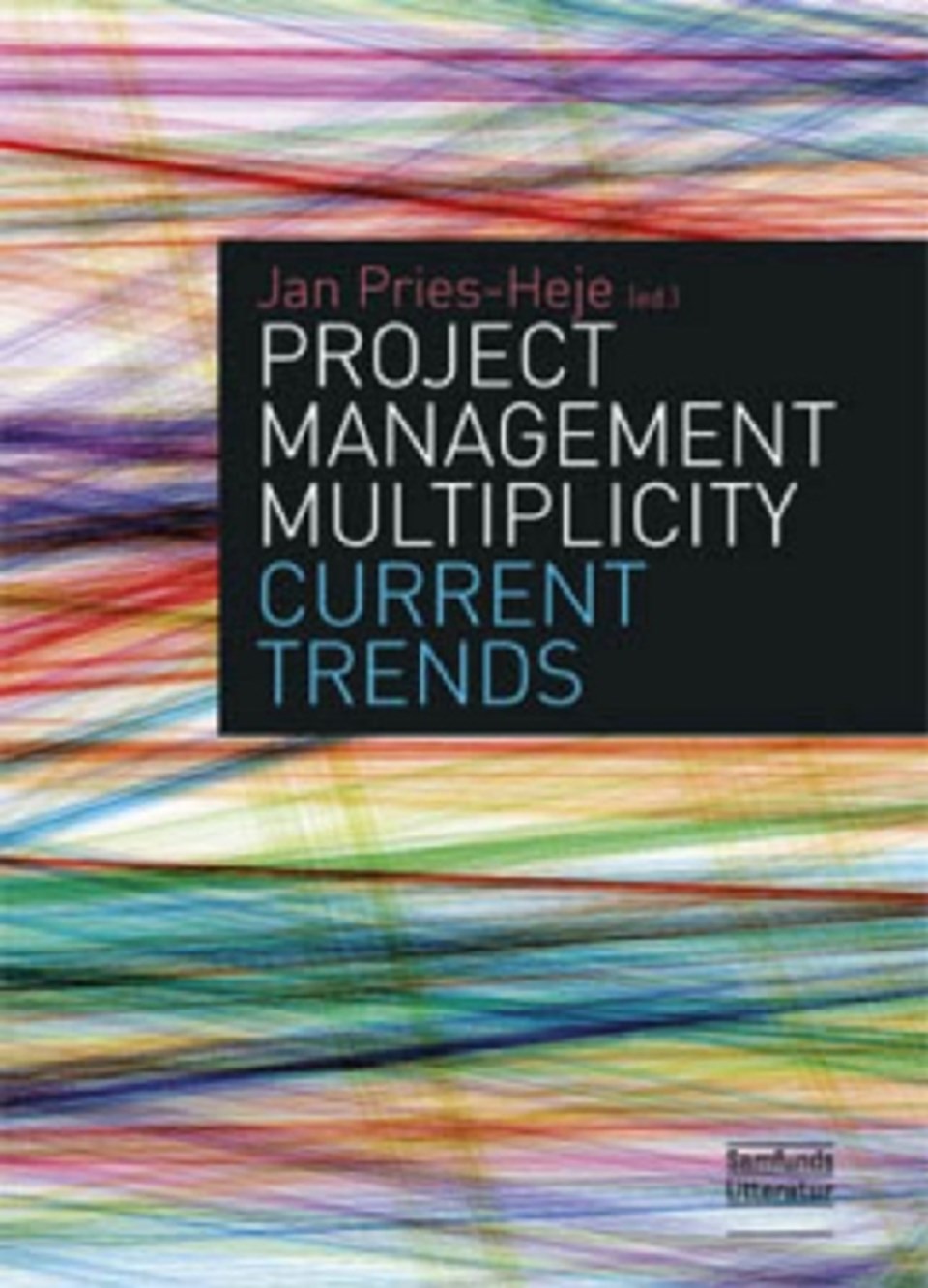 Project Management Multiplicity
