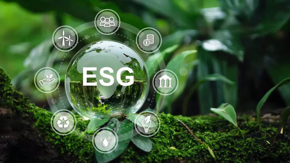 Real ESG Gratis Beregner
