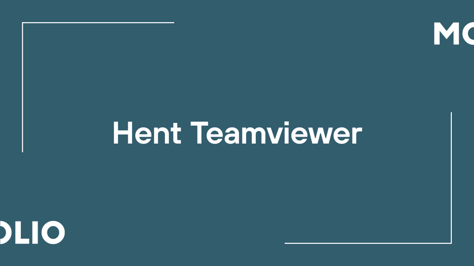 Hent Teamviewer