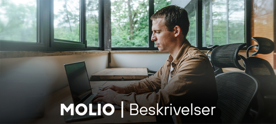 Molio Beskrivelser
