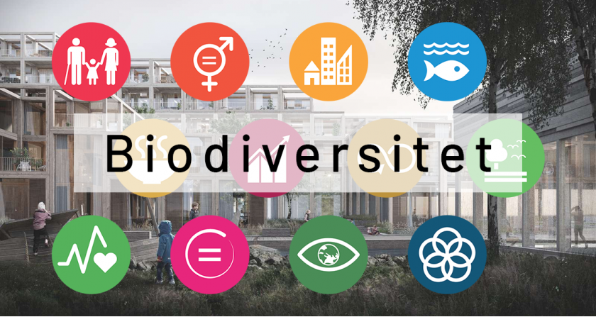 biodiversitet