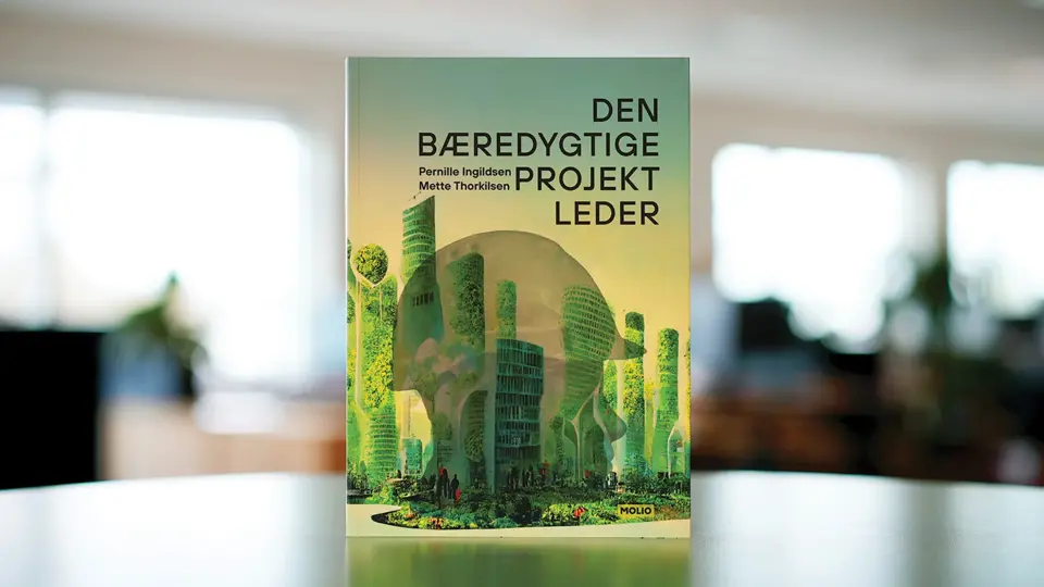Den Bæredygtige Projektleder Bog