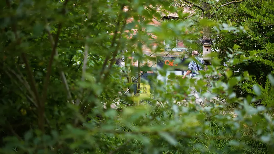 Grønne Træer Biodiversitet